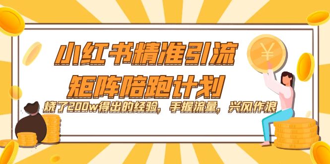 小红书精准引流·矩阵陪跑计划：烧了200w得出的经验，手握流量，兴风作浪！|冰针科技