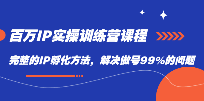 百万IP实战训练营课程，完整的IP孵化方法，解决做号99%的问题|冰针科技