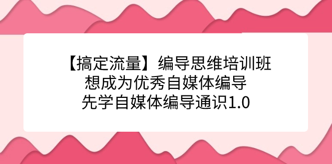 【搞定流量】编导思维培训班，想成为优秀自媒体编导先学自媒体编导通识1.0|冰针科技