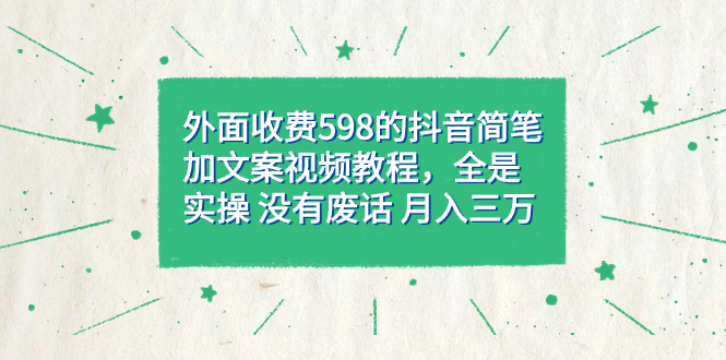 外面收费598抖音简笔加文案教程，全是实操 没有废话 月入三万（教程 资料）|冰针科技