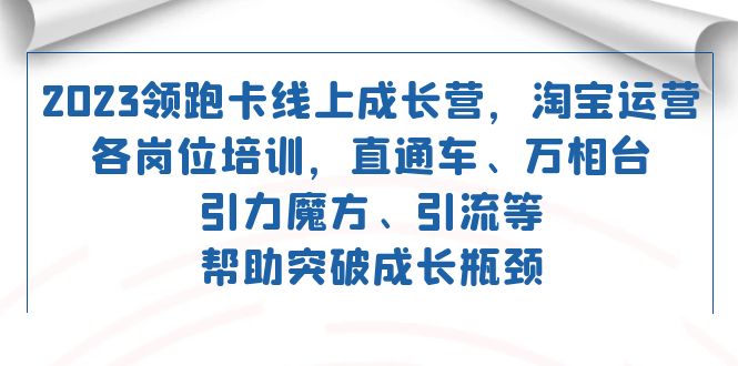 2023领跑·卡 线上成长营 淘宝运营各岗位培训 直通车 万相台 引力魔方 引流|冰针科技