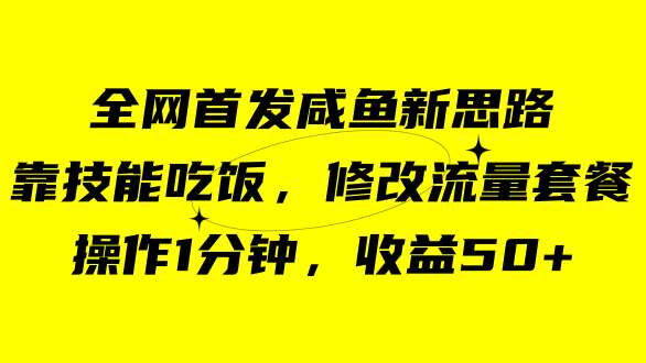 咸鱼冷门新玩法，靠“技能吃饭”，修改流量套餐，操作1分钟，收益50|冰针科技