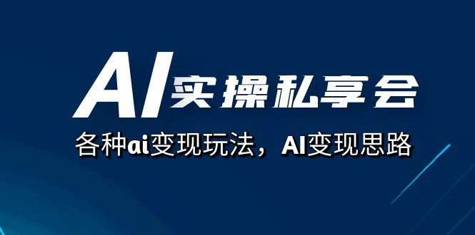 AI实操私享会，各种ai变现玩法，AI变现思路（67节课）|冰针科技