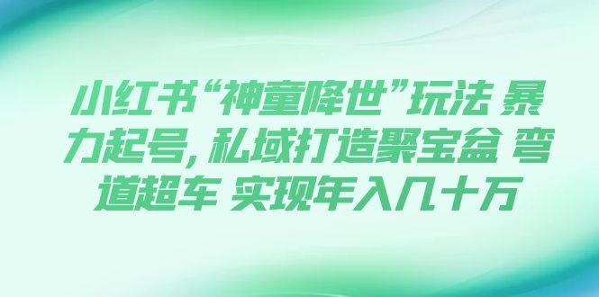 小红书“神童降世”玩法 暴力起号,私域打造聚宝盆 弯道超车 实现年入几十万|冰针科技