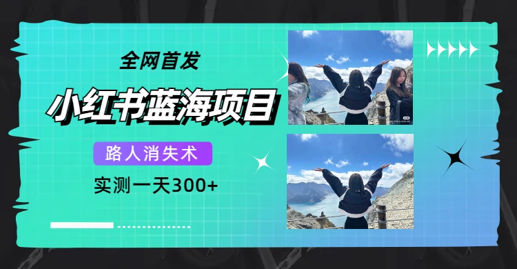 全网首发，小红书蓝海项目，路人消失术，实测一天300 （教程 工具）|冰针科技