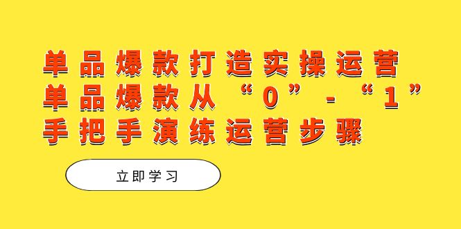 单品爆款打造实操运营，单品爆款从“0”-“1”手把手演练运营步骤|冰针科技