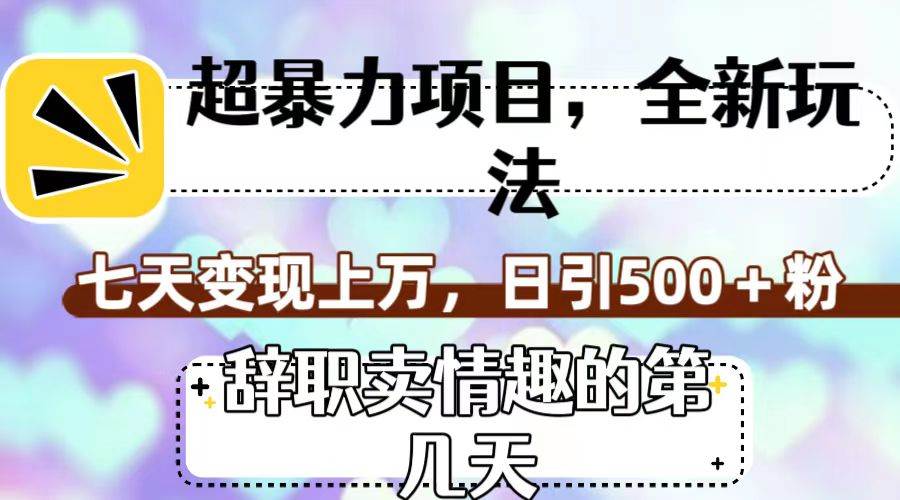 超暴利项目，全新玩法（辞职卖情趣的第几天），七天变现上万，日引500 粉|冰针科技