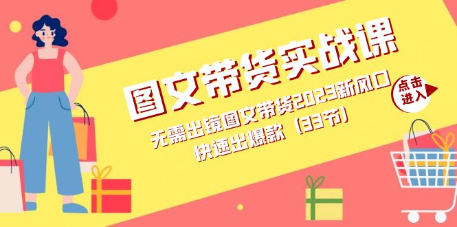 图文带货实战课：无需出镜图文带货2023新风口，快速出爆款（33节）|冰针科技