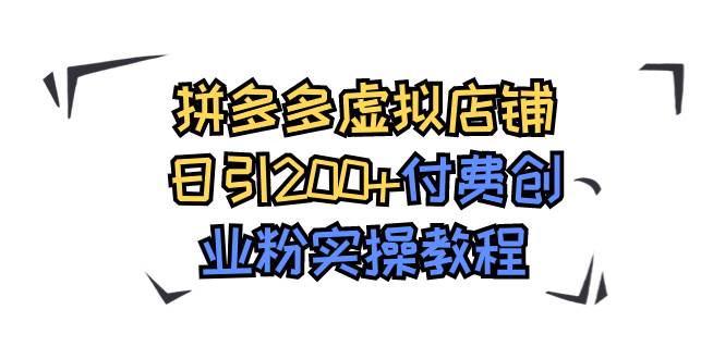 拼多多虚拟店铺日引200 付费创业粉实操教程|冰针科技