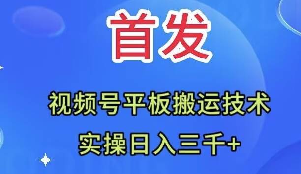 全网首发：视频号平板搬运技术，实操日入三千＋|冰针科技