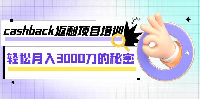 cashback返利项目培训：轻松月入3000刀的秘密（8节课）|冰针科技