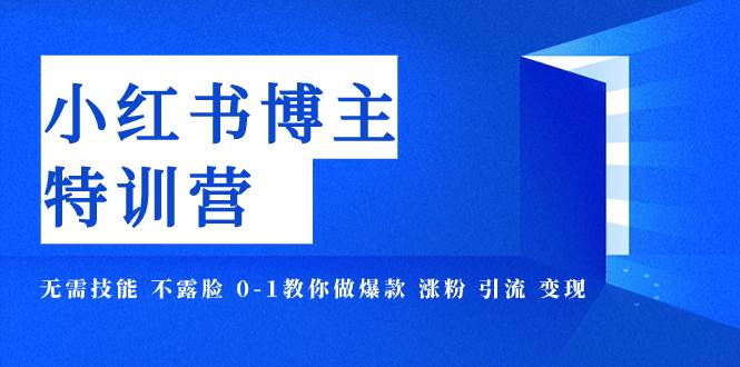 小红书博主爆款特训营-11期 无需技能 不露脸 0-1教你做爆款 涨粉 引流 变现|冰针科技