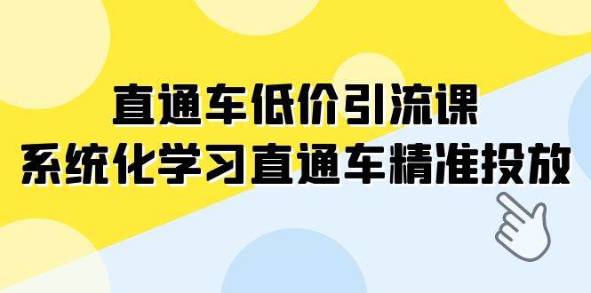 直通车-低价引流课，系统化学习直通车精准投放（14节课）|冰针科技