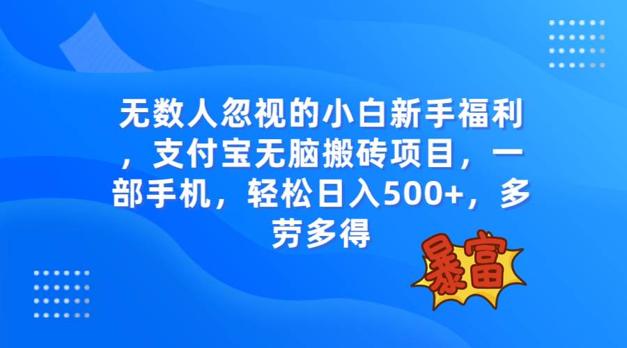 无数人忽视的项目，支付宝无脑搬砖项目，一部手机即可操作，轻松日入500|冰针科技