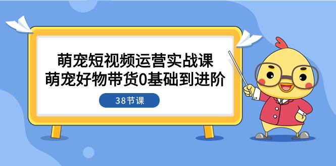 萌宠·短视频运营实战课：萌宠好物带货0基础到进阶（38节课）|冰针科技