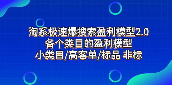 淘系极速爆搜索盈利模型2.0，各个类目的盈利模型，小类目/高客单/标品 非标|冰针科技