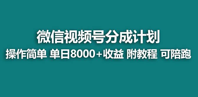 【蓝海项目】视频号分成计划，单天收益8000 ，附玩法教程！可陪跑|冰针科技