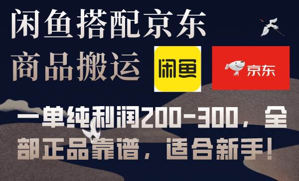 闲鱼搭配京东备份库搬运，一单纯利润200-300，全部正品靠谱，适合新手！|冰针科技