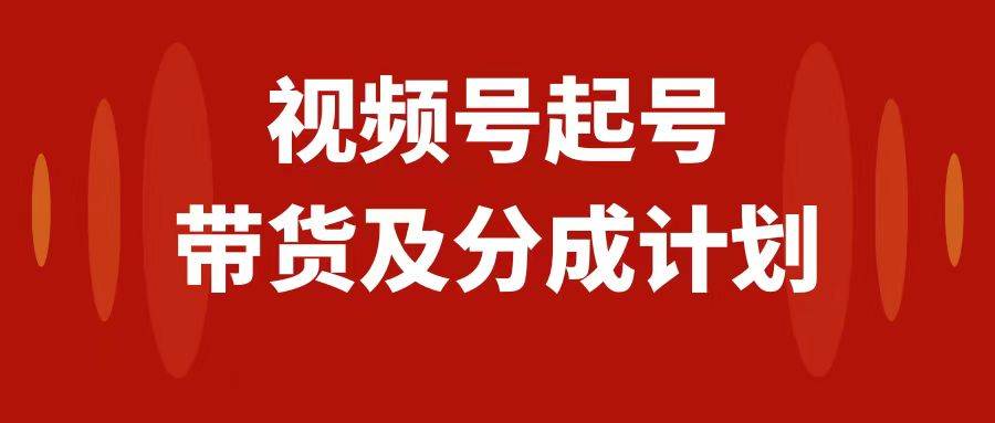 视频号快速起号，分成计划及带货，0-1起盘、运营、变现玩法，日入1000|冰针科技