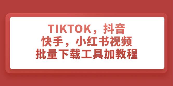 TIKTOK，抖音，快手，小红书视频批量下载工具加教程|冰针科技