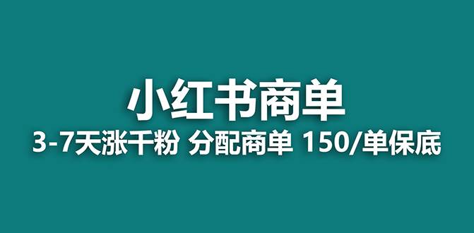 【蓝海项目】2023最强蓝海项目，小红书商单项目，没有之一！|冰针科技