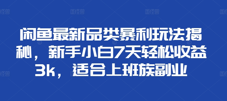 闲鱼最新品类暴利玩法揭秘，新手小白7天轻松赚3000+，适合上班族副业|冰针科技