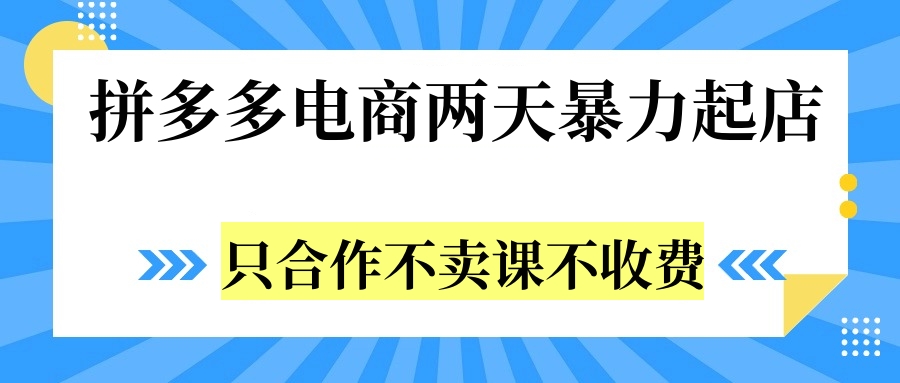 拼多多两天暴力起店，只合作不卖课不收费|冰针科技