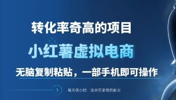 一单49.9，转化率奇高的项目，冷门暴利的小红书虚拟电商|冰针科技