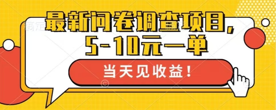 最新问卷调查项目，共12个平台，单日零撸100＋|冰针科技