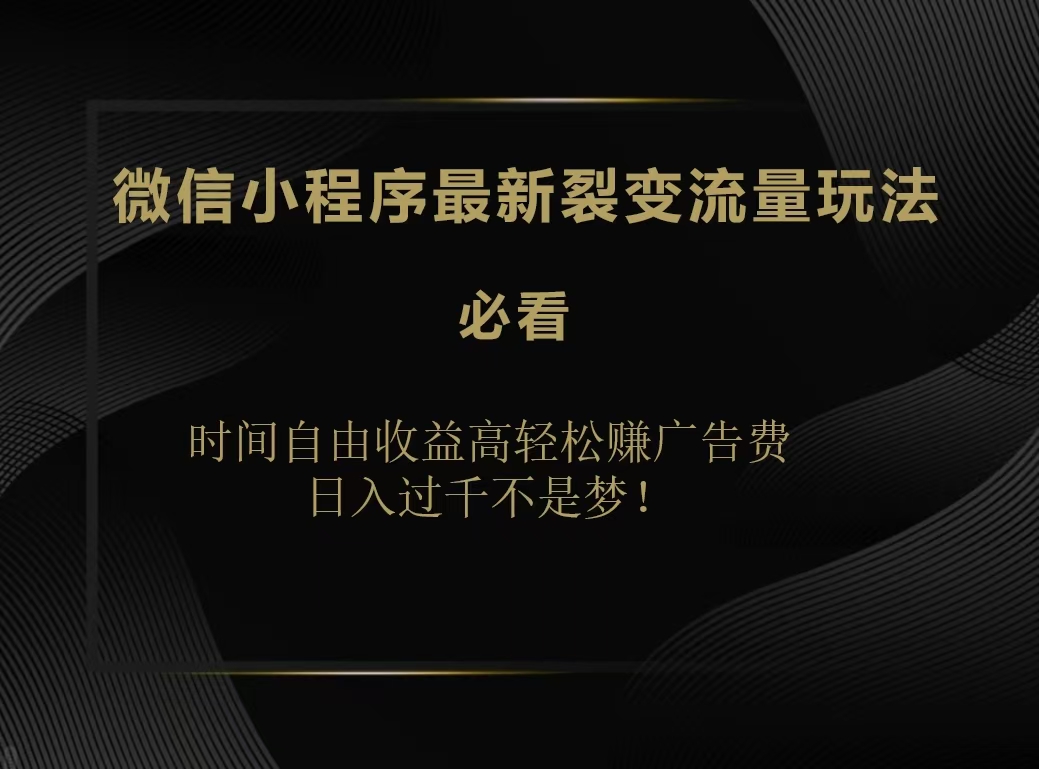 微信小程序最新裂变流量玩法，时间自由收益高轻松赚广告费，日入200-500+|冰针科技