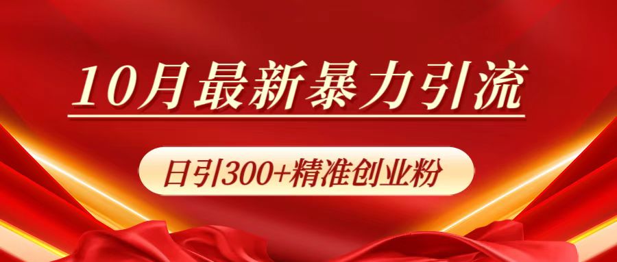 10月最新暴力引流，日引300+精准创业粉|冰针科技