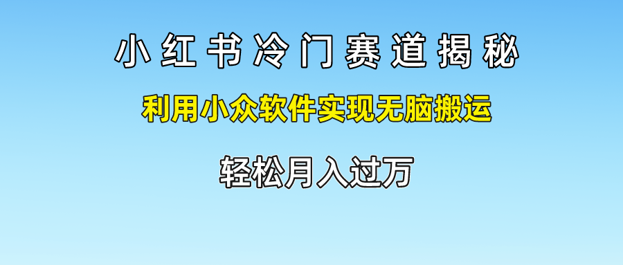 小红书冷门赛道揭秘,轻松月入过万，利用小众软件实现无脑搬运，|冰针科技