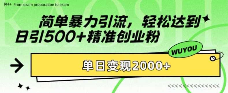 简单暴力引流轻松达到日引500+精准创业粉，单日变现2k【揭秘】|冰针科技