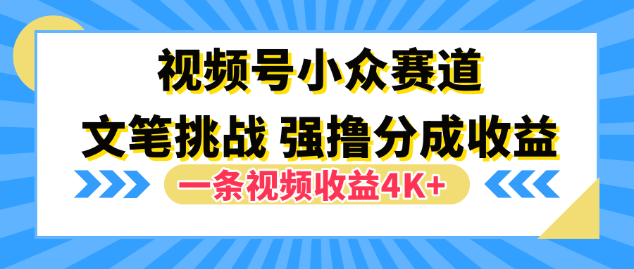 视频号小众赛道，文笔挑战，一条视频收益4K+|冰针科技