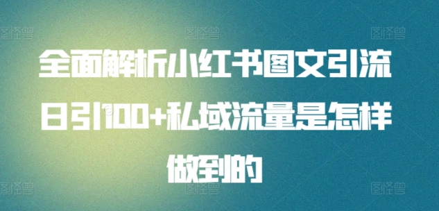 暴力引流 小红书图文引流日引100私域全面拆解【打粉人必看】|冰针科技