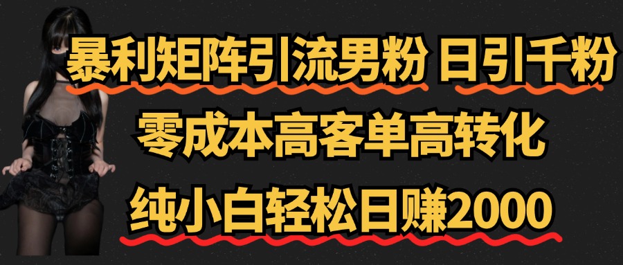 暴利矩阵引流男粉（日引千粉），零成本高客单高转化，纯小白轻松日赚2000+|冰针科技