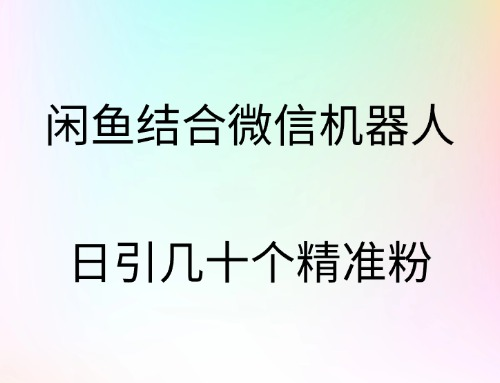 闲鱼结合微信机器人，日引几十个精准粉|冰针科技