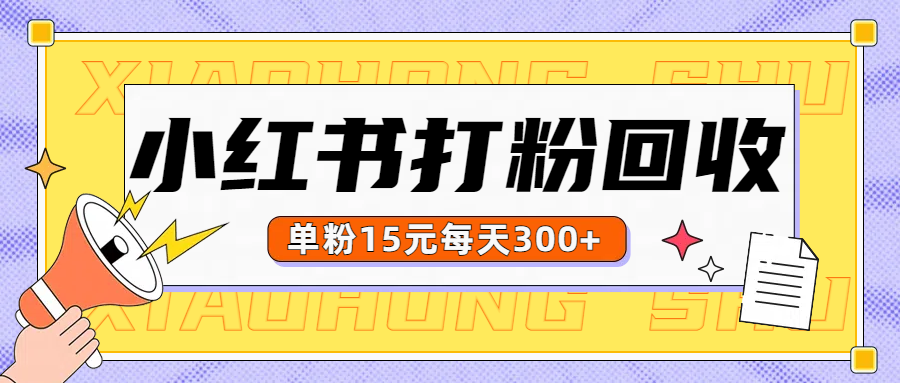 小红书打粉，单粉15元回收每天300+|冰针科技