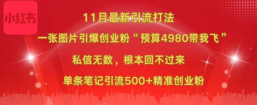 小红书11月最新图片打法，一张图片引爆创业粉“预算4980带我飞”，私信无数，根本回不过来，单条笔记引流500+精准创业粉|冰针科技