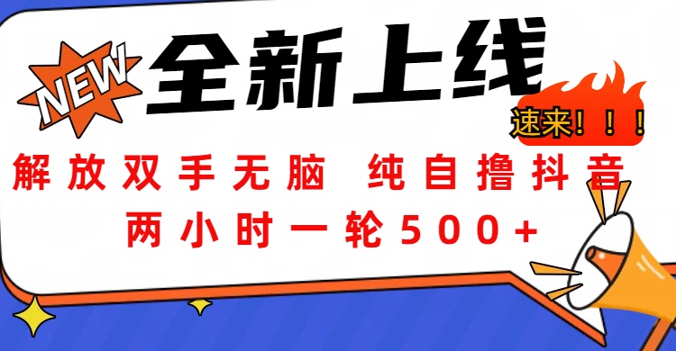 解放双手无脑 纯自撸抖音 两小时一轮500+|冰针科技