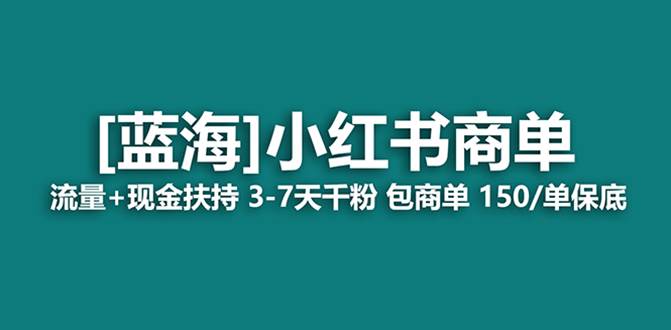 最强蓝海项目，小红书商单！长期稳定，7天变现，商单分配，月入过万|冰针科技