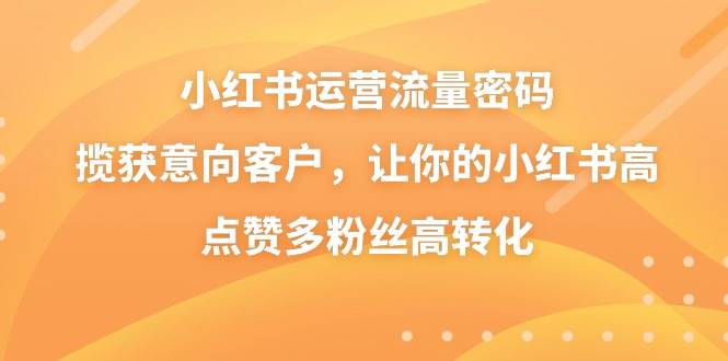 小红书运营流量密码，揽获意向客户，让你的小红书高点赞多粉丝高转化|冰针科技