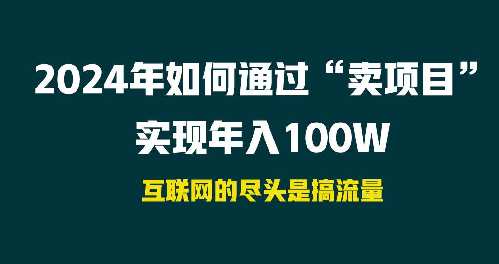 2024年如何通过“卖项目”实现年入100W|冰针科技