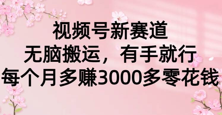 视频号新赛道，无脑搬运，有手就行，每个月多赚3000多零花钱|冰针科技