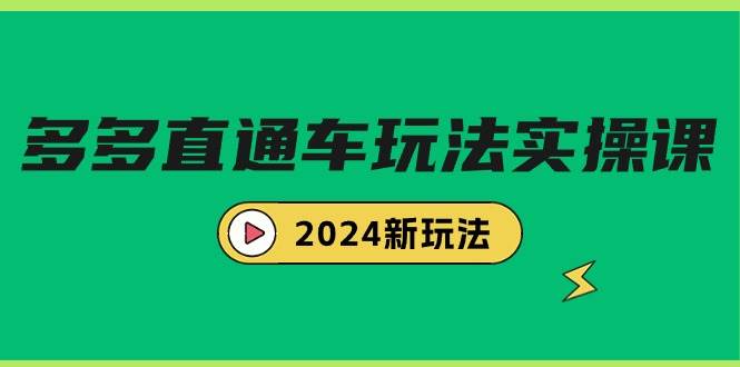 多多直通车玩法实战课，2024新玩法（7节课）|冰针科技