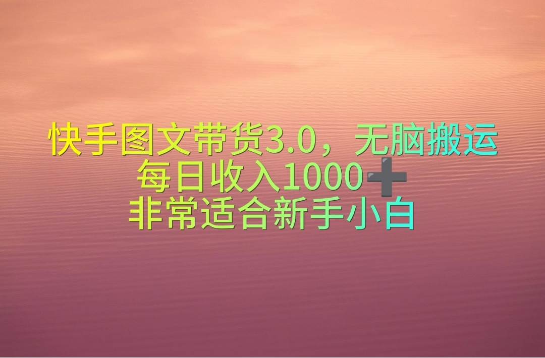 快手图文带货3.0，无脑搬运，每日收入1000＋，非常适合新手小白|冰针科技