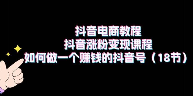 抖音电商教程：抖音涨粉变现课程：如何做一个赚钱的抖音号（18节）|冰针科技