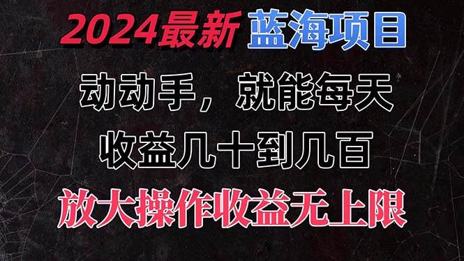 有手就行的2024全新蓝海项目，每天1小时收益几十到几百，可放大操作收…|冰针科技